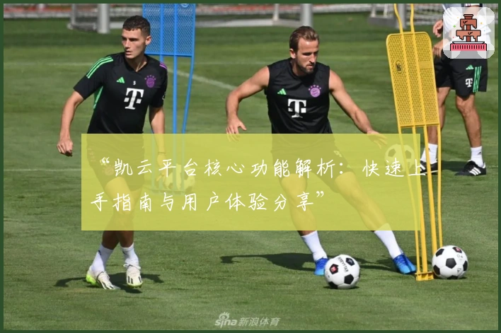 “凯云平台核心功能解析：快速上手指南与用户体验分享”